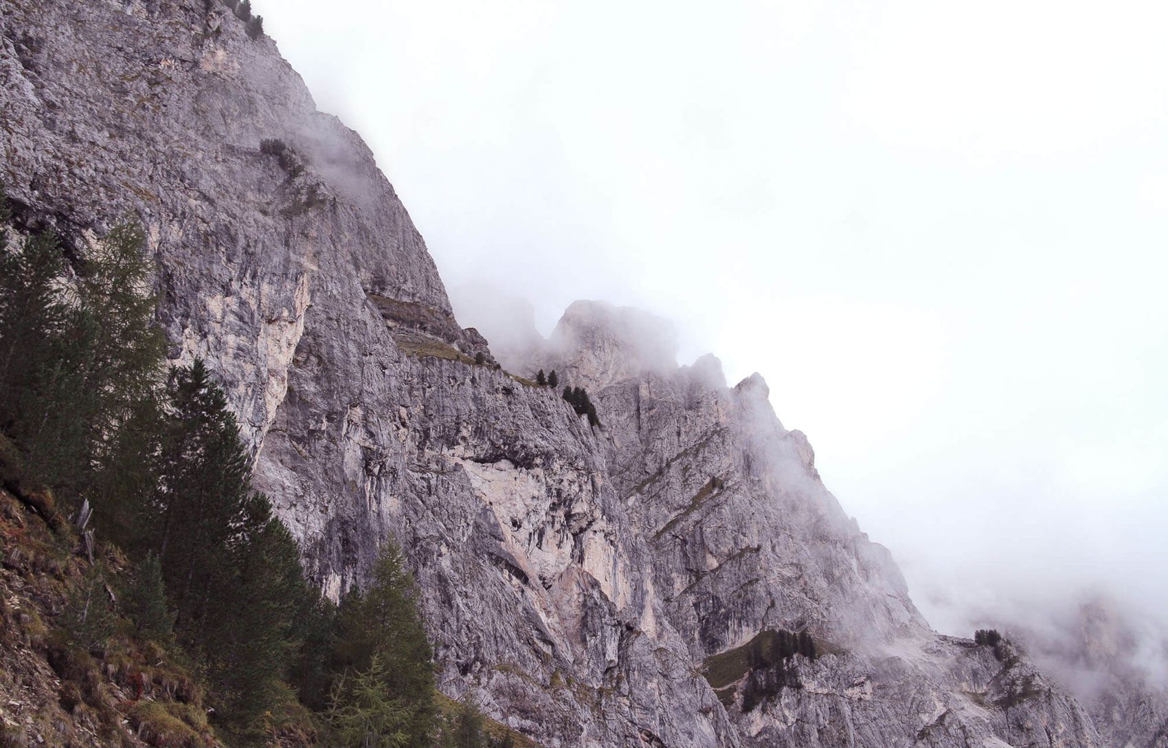Pared de montaña entre la niebla